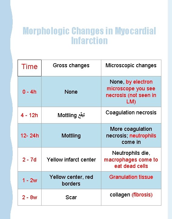 Morphologic Changes in Myocardial Infarction Gross changes Microscopic changes 0 - 4 h None,
