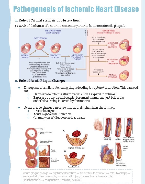 Pathogenesis of Ischemic Heart Disease 1. Role of Critical stenosis or obstruction: (>=75% of