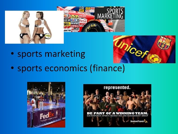  • sports marketing • sports economics (finance) 