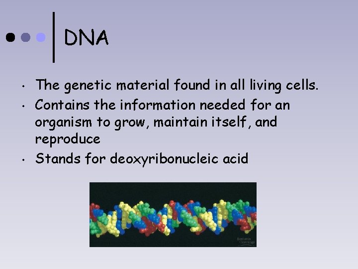 DNA • • • The genetic material found in all living cells. Contains the