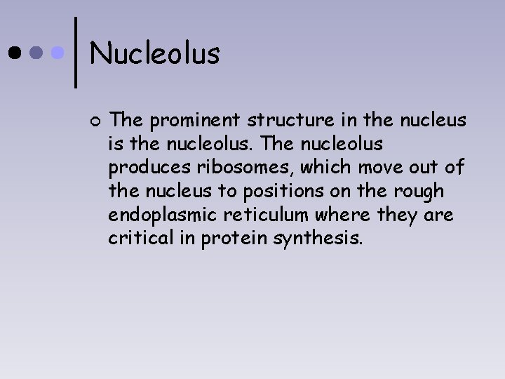 Nucleolus ¢ The prominent structure in the nucleus is the nucleolus. The nucleolus produces