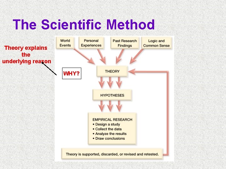 The Scientific Method Theory explains the underlying reason WHY? 