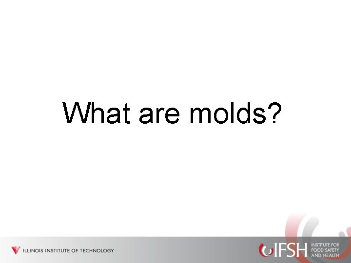 What are molds? 