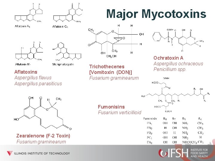 Major Mycotoxins Aflatoxins Aspergillus flavus Aspergillus parasiticus Trichothecenes [Vomitoxin (DON)] Fusarium graminearum Fumonisins Fusarium