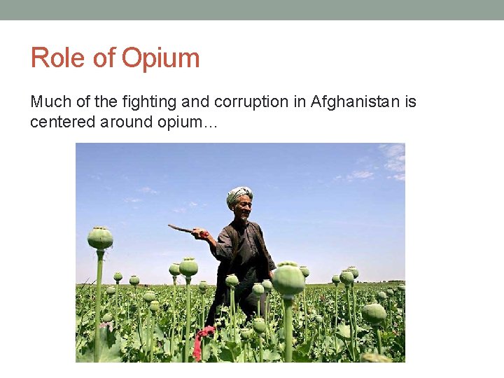 Role of Opium Much of the fighting and corruption in Afghanistan is centered around