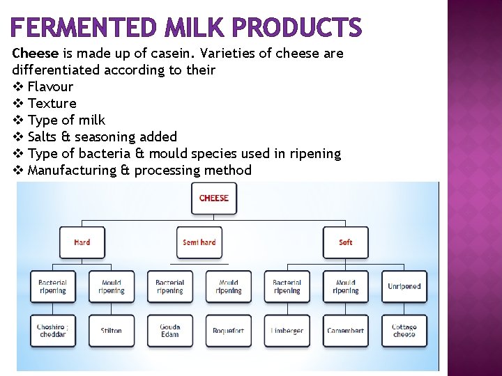 FERMENTED MILK PRODUCTS Cheese is made up of casein. Varieties of cheese are differentiated