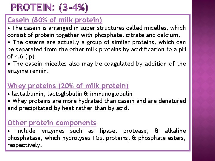 PROTEIN: (3 -4%) Casein (80% of milk protein) • The casein is arranged in