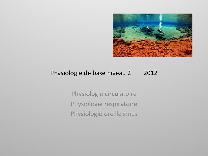 Physiologie de base niveau 2 Physiologie circulatoire Physiologie respiratoire Physiologie oreille sinus 2012 