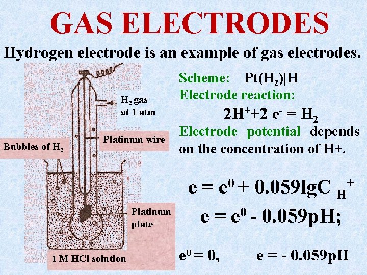 GAS ELECTRODES Hydrogen electrode is an example of gas electrodes. H 2 gas at