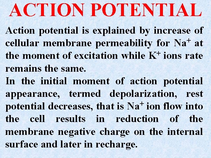 ACTION POTENTIAL Action potential is explained by increase of cellular membrane permeability for Na+