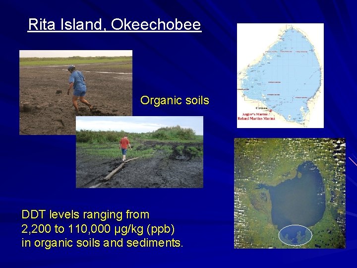 Rita Island, Okeechobee Organic soils DDT levels ranging from 2, 200 to 110, 000