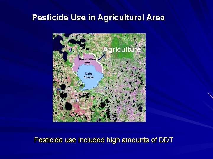 Pesticide Use in Agricultural Area Agriculture Pesticide use included high amounts of DDT Pesticide Use in Agricultural Area Agriculture Pesticide use included high amounts of DDT