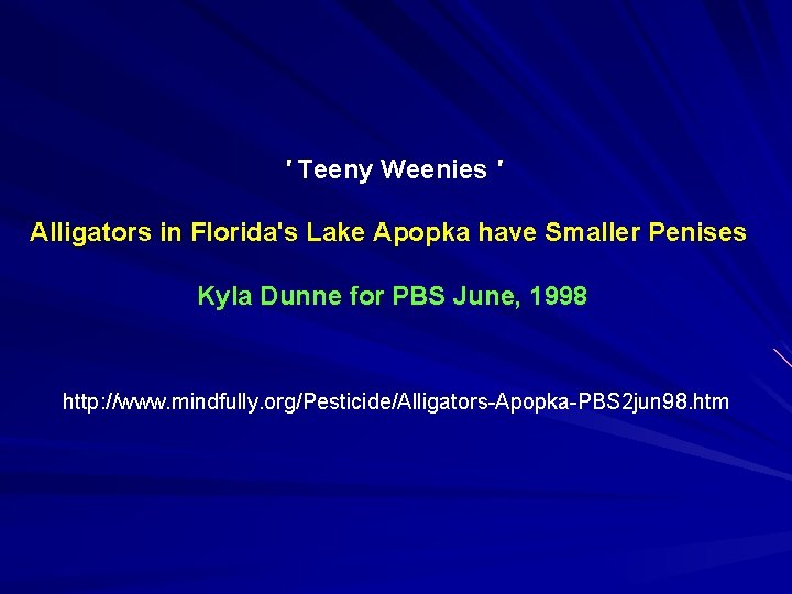 ' Teeny Weenies ' Alligators in Florida's Lake Apopka have Smaller Penises Kyla Dunne