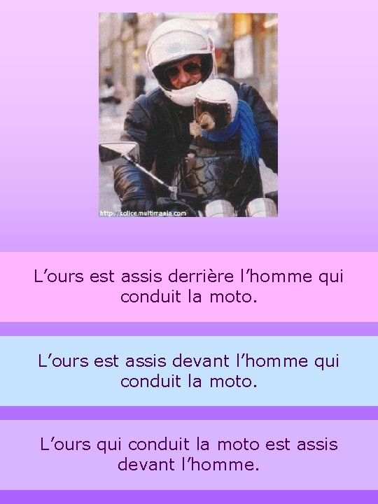 L’ours est assis derrière l’homme qui conduit la moto. L’ours est assis devant l’homme