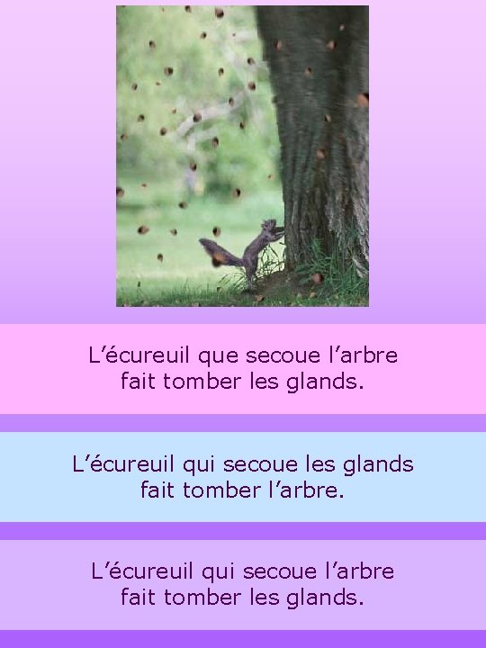 5 L’écureuil que secoue l’arbre fait tomber les glands. L’écureuil qui secoue les glands