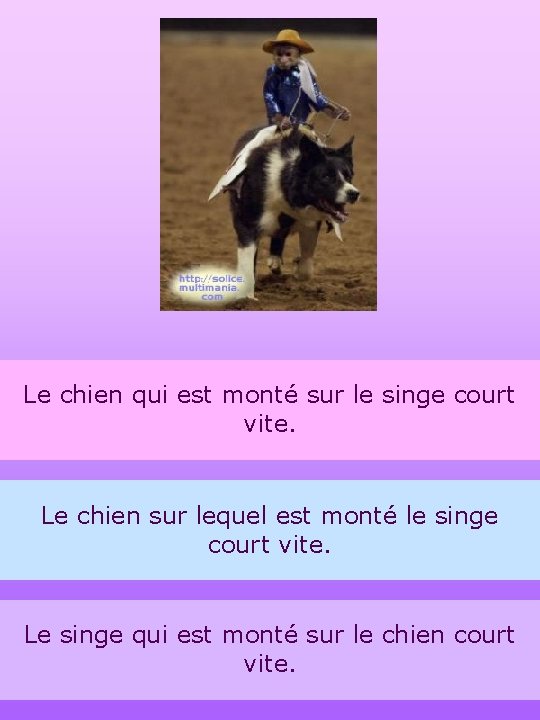 7 Le chien qui est monté sur le singe court vite. Le chien sur