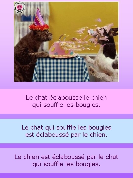 Le chat éclabousse le chien qui souffle les bougies. Le chat qui souffle les