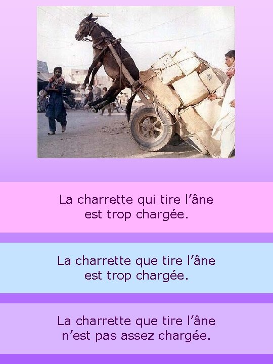 La charrette qui tire l’âne est trop chargée. La charrette que tire l’âne n’est