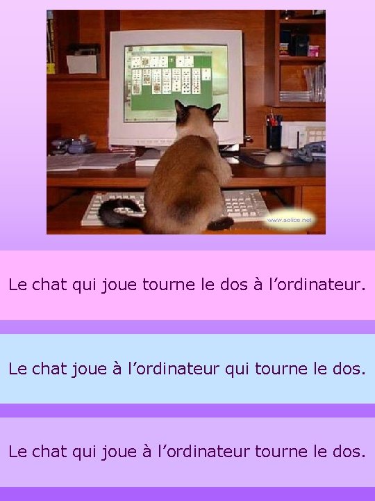 Le chat qui joue tourne le dos à l’ordinateur. Le chat joue à l’ordinateur