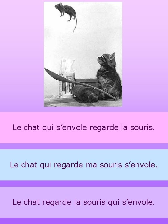 Le chat qui s’envole regarde la souris. Le chat qui regarde ma souris s’envole.