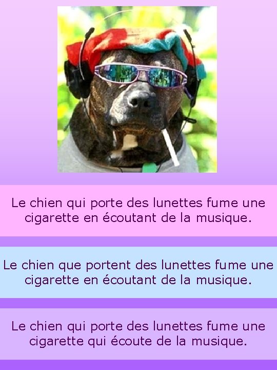 Le chien qui porte des lunettes fume une cigarette en écoutant de la musique.