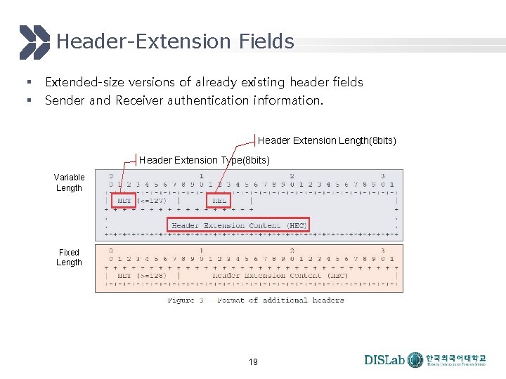 Header-Extension Fields § § Extended-size versions of already existing header fields Sender and Receiver Header-Extension Fields § § Extended-size versions of already existing header fields Sender and Receiver