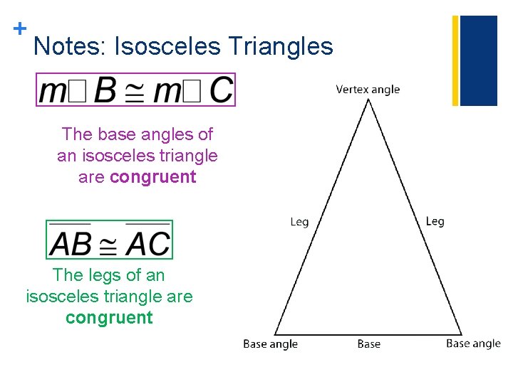 + Notes: Isosceles Triangles The base angles of an isosceles triangle are congruent The