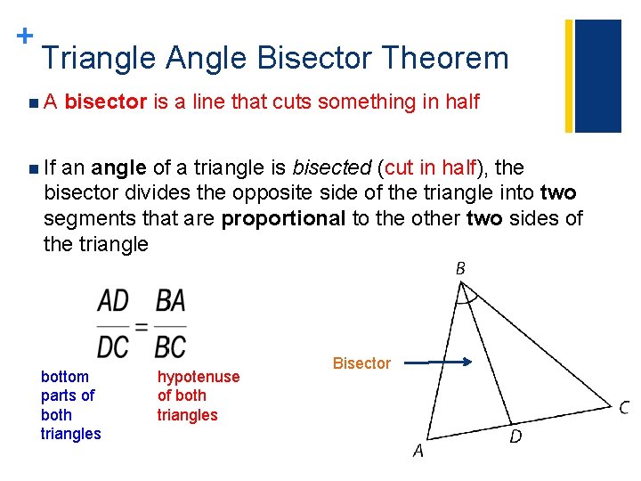 + Triangle Angle Bisector Theorem n. A bisector is a line that cuts something