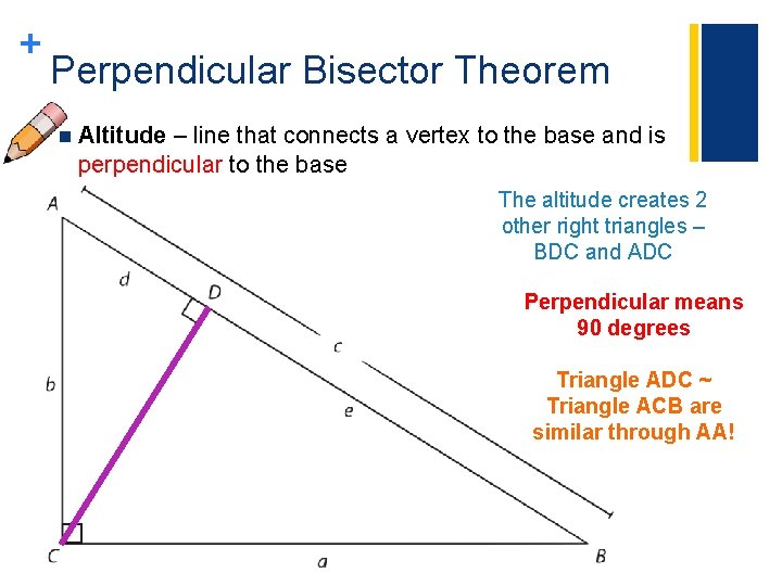 + Perpendicular Bisector Theorem n Altitude – line that connects a vertex to the