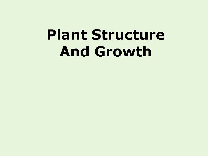 Plant Structure And Growth 