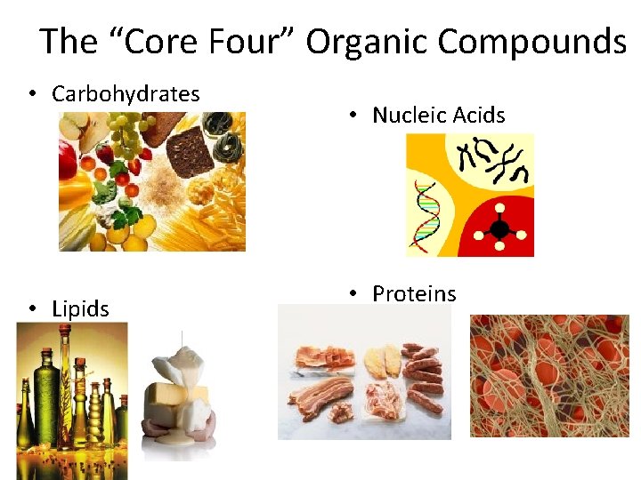 The “Core Four” Organic Compounds • Carbohydrates • Lipids • Nucleic Acids • Proteins