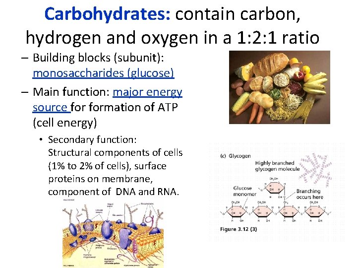 Carbohydrates: contain carbon, hydrogen and oxygen in a 1: 2: 1 ratio – Building