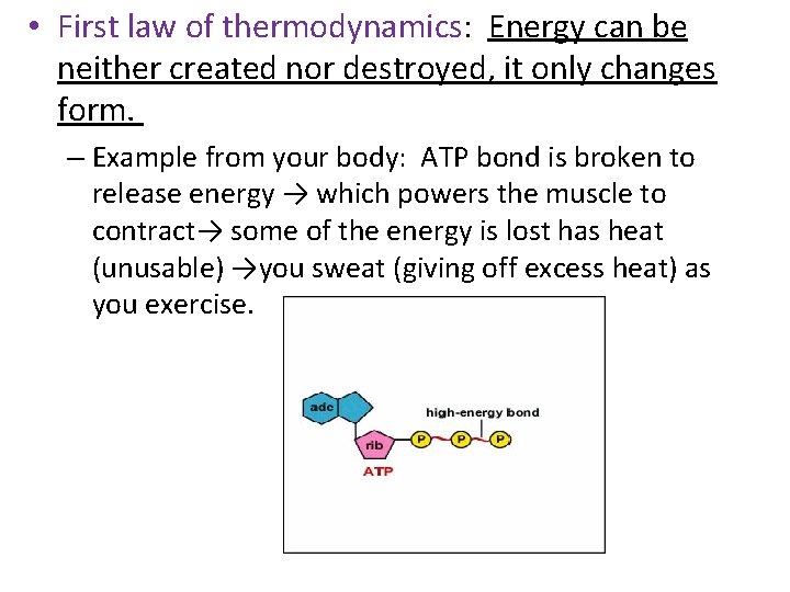  • First law of thermodynamics: Energy can be neither created nor destroyed, it