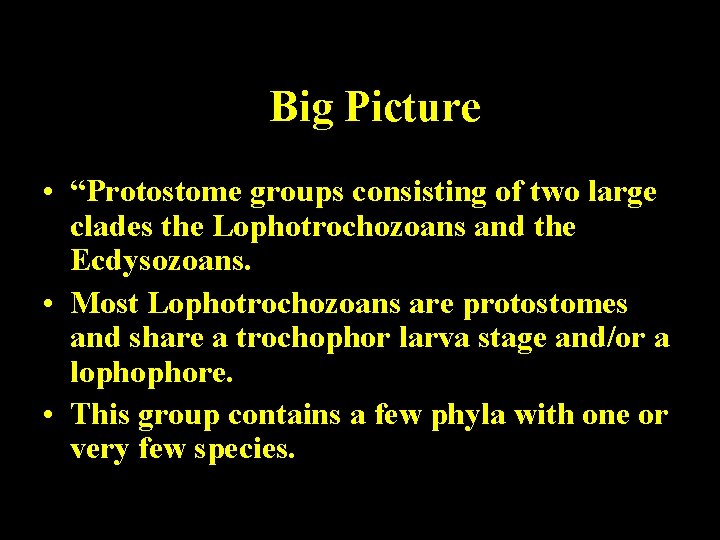 Big Picture • “Protostome groups consisting of two large clades the Lophotrochozoans and the