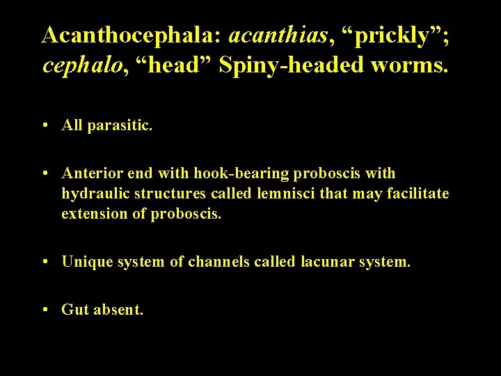 Acanthocephala: acanthias, “prickly”; cephalo, “head” Spiny-headed worms. • All parasitic. • Anterior end with