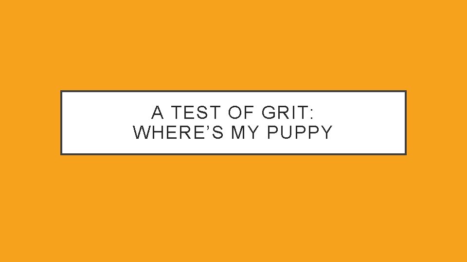 A TEST OF GRIT: WHERE’S MY PUPPY 