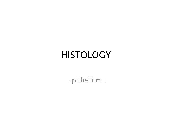 HISTOLOGY Epithelium I 