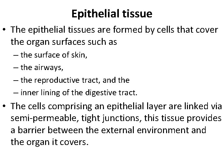 Epithelial tissue • The epithelial tissues are formed by cells that cover the organ