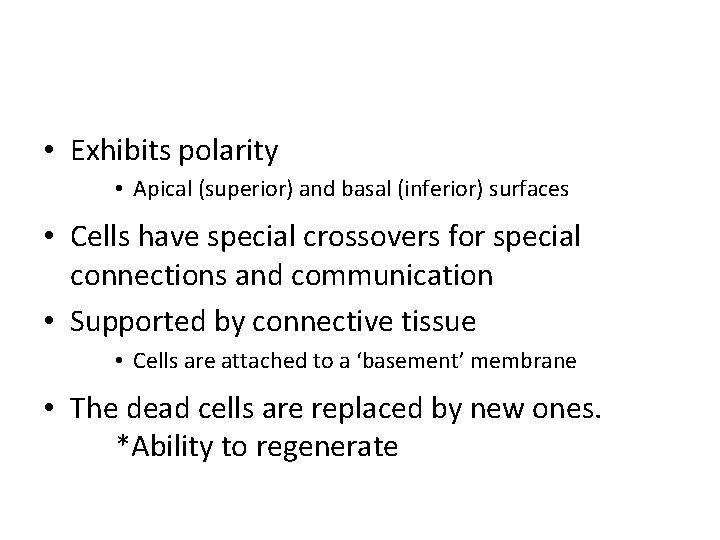  • Exhibits polarity • Apical (superior) and basal (inferior) surfaces • Cells have