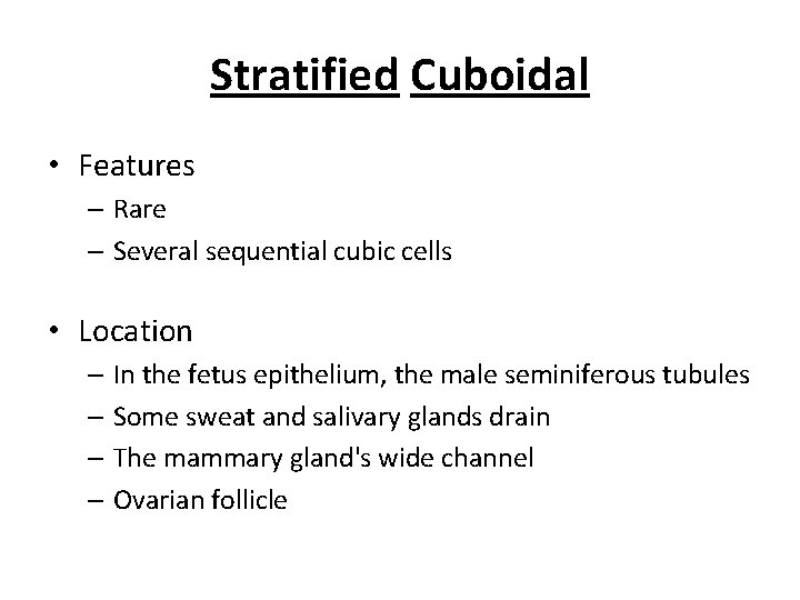 Stratified Cuboidal • Features – Rare – Several sequential cubic cells • Location –