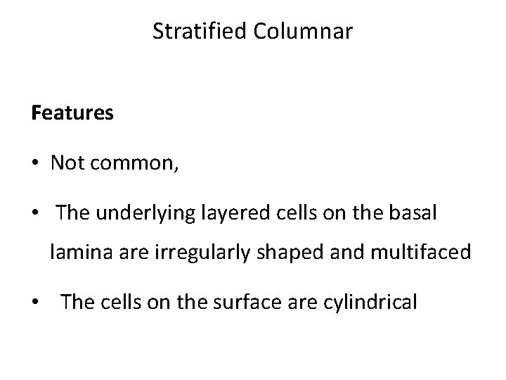 Stratified Columnar Features • Not common, • The underlying layered cells on the basal