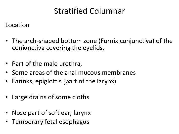 Stratified Columnar Location • The arch-shaped bottom zone (Fornix conjunctiva) of the conjunctiva covering