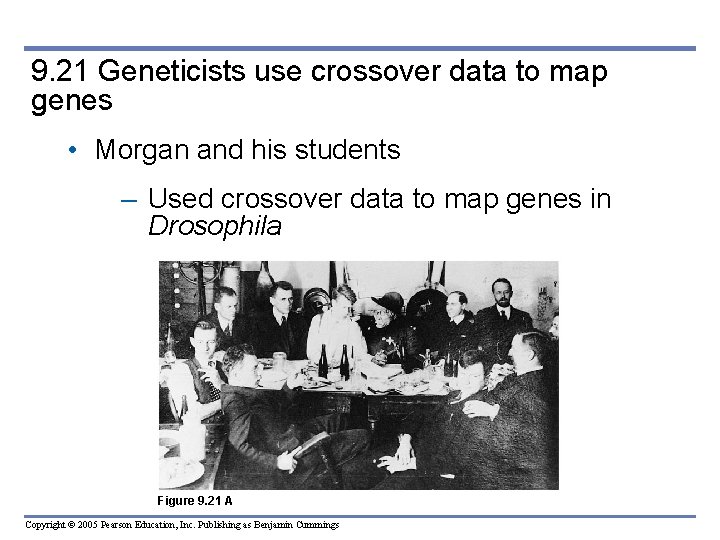 9. 21 Geneticists use crossover data to map genes • Morgan and his students