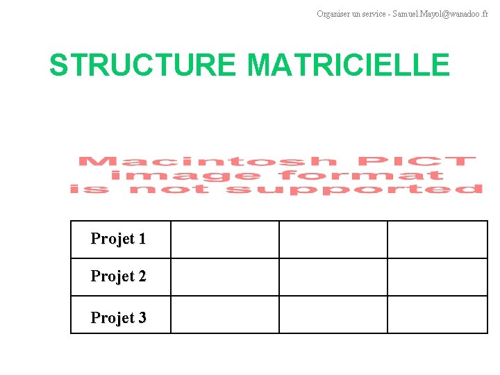 Organiser un service - Samuel. Mayol@wanadoo. fr STRUCTURE MATRICIELLE Projet 1 Projet 2 Projet