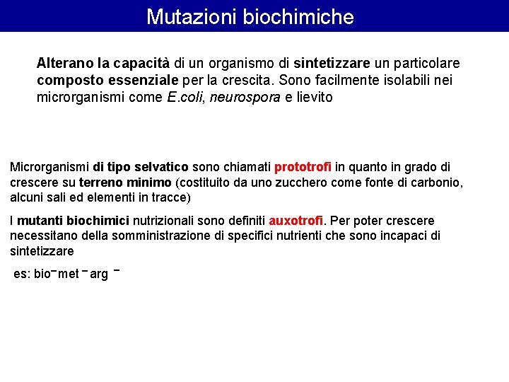 Mutazioni biochimiche Alterano la capacità di un organismo di sintetizzare un particolare composto essenziale