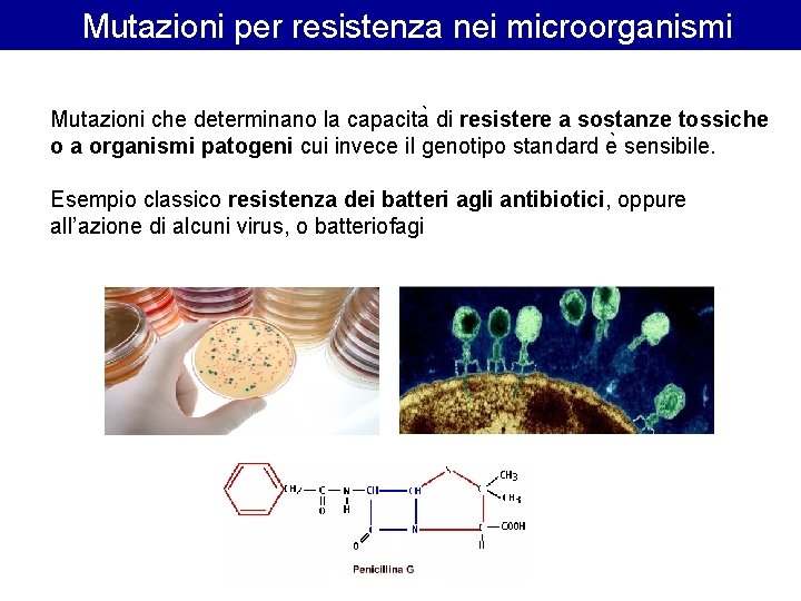 Mutazioni per resistenza nei microorganismi Mutazioni che determinano la capacita di resistere a sostanze