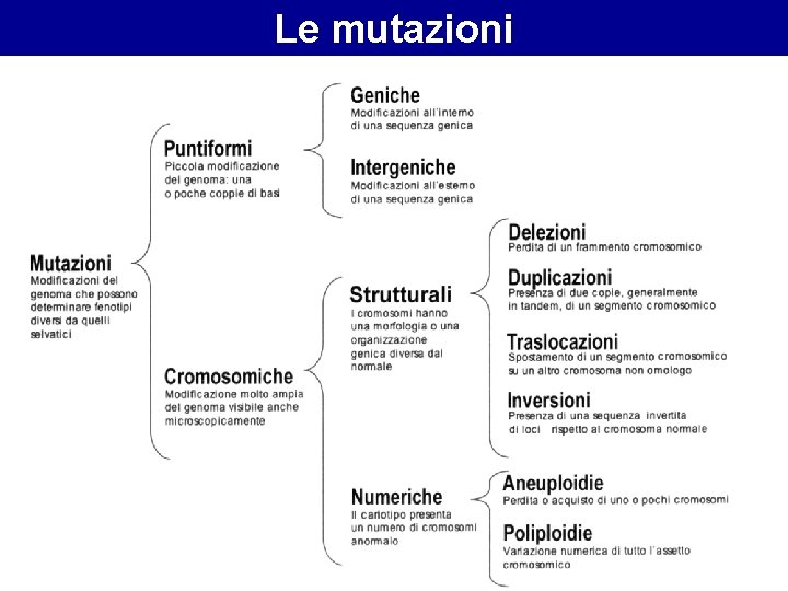 Le mutazioni 