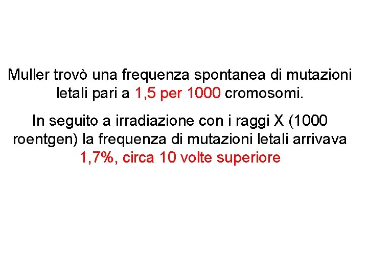 Muller trovò una frequenza spontanea di mutazioni letali pari a 1, 5 per 1000