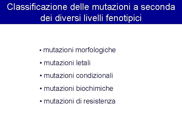 Classificazione delle mutazioni a seconda dei diversi livelli fenotipici • mutazioni morfologiche • mutazioni