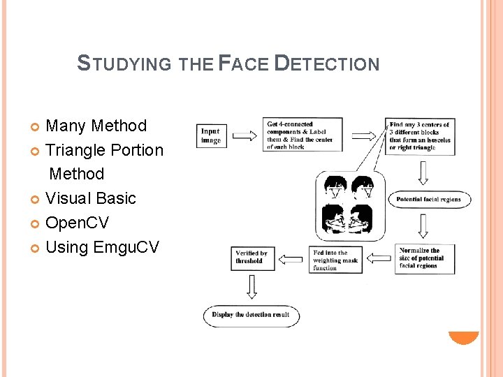 STUDYING THE FACE DETECTION Many Method Triangle Portion Method Visual Basic Open. CV Using